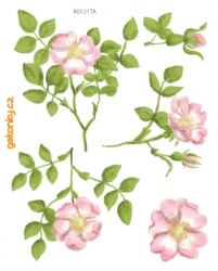 Wild Rose, decal for fabric