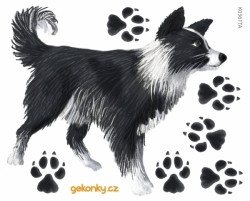 Border Collie, decal for fabric