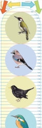 Birds, Self-adhesive wall-mounted meter