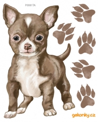 Chihuahua, decal for fabric