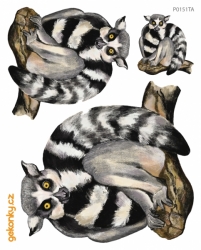 Lemur, decal for fabric