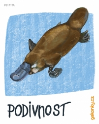 platypus, decal for fabric