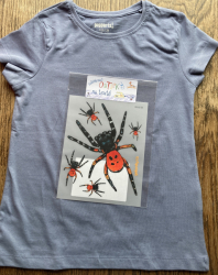 Black-footed steppe spider, decal for fabric