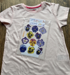 Pansies, decal for fabric