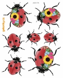Ladybug, decal for fabric
