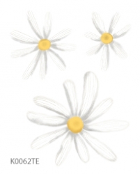 Daisies, decal for fabric