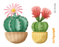 cacti