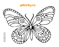 Butterfly 2 – coloring 
