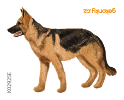 German shepherd