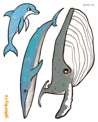 cetaceans 1, decal for fabric