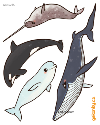 cetaceans 2, decal for fabric - kopie