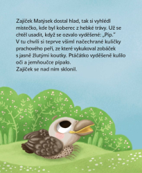 Matýskovy dobré skutky, knížka