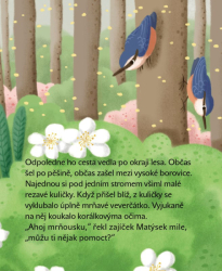 Matýskovy dobré skutky, knížka