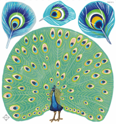 Alphonsus the Peacock, reusablce fabric wall decals