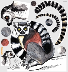 Lemurs, fabric wall decals