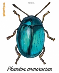 Beetle Phaedon Armoraciae, decal for fabric