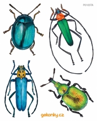 Beetles, decal for fabric