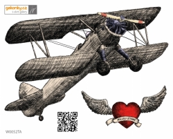 Biplane, decal for fabric