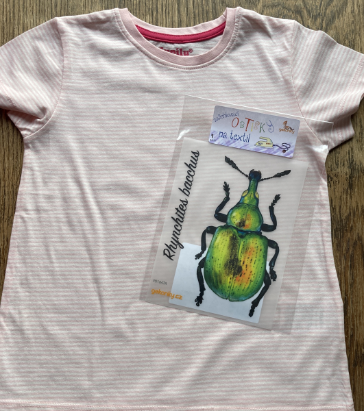 Beetle Rhynchites bacchus, decal for fabric