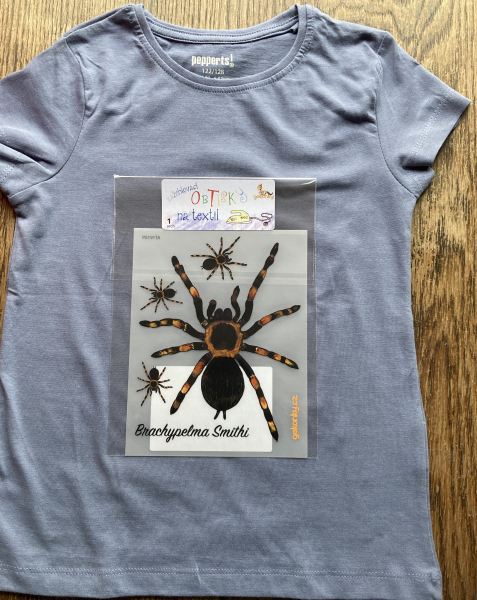 cellar man spider, decal for fabric